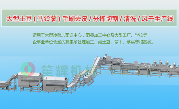 广丰连续式土豆去皮清洗切割风干生产线